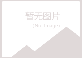 子长县女孩工程有限公司